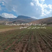 یک لنگ یافردزمین کشاورزی درعمارت شهرستان صحنه|فروش دفتر صنعتی، کشاورزی، تجاری|بیستون, |دیوار