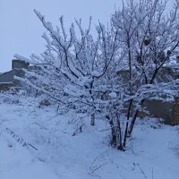 گروه دوستانه