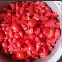 رب گوجه خانگی