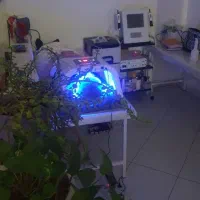 لاغری موضعی تضمینی و فیشال ،پلاژن تراپی|خدمات آرایشگری و زیبایی|تهران, ائمه اطهار|دیوار