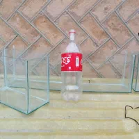 اکواریوم نو ۸۰ تومان