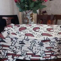 روبالشتی مخمل|رختخواب، بالش، پتو|خرم‌آباد, |دیوار