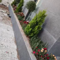 خدمات باغبانی باغچه کاری کاشت گل وگیاه باغبان سیار|خدمات باغبانی و درختکاری|تهران, قیطریه|دیوار