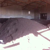 ورمی کمپوست بهترین کود برای درخت گل|خدمات باغبانی و درختکاری|قم, انصار‌الحسین|دیوار