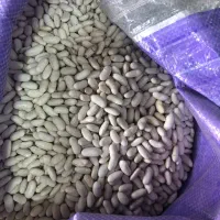 حبوبات برنج درجه یک|خوردنی و آشامیدنی|تهران, خاوران|دیوار