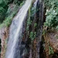 تور اسطرخی شیروان