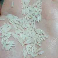 برنج هاشمی درجه یک