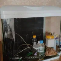 آکواریوم شرکتی با تمام لوازم