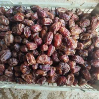 خرما کبکاب
