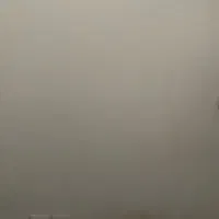 همخانه