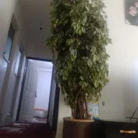 درختچه مصنوعی