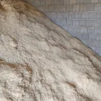 کاه گندم کاه کوب|لوازم جانبی حیوانات|دیواندره, |دیوار