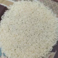برنج طارم هاشمی