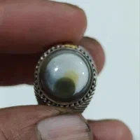 انگشتر های کلکسیونی شجر بابا قوری