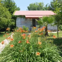 ویلاباغ۱۱۰۰متری/سندتکبرگ ششدانگ*زیباکنار کد500