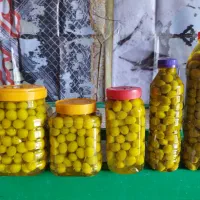 زیتون شور|خوردنی و آشامیدنی|استهبان, |دیوار