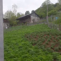 اجاره سالانه ویلا در منطقه لفور