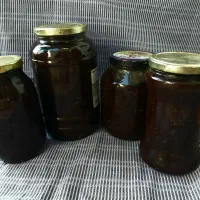 رب آلوچه جنگلی
