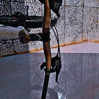 دوچرخه ویوا|دوچرخه، اسکیت، اسکوتر|پلدختر, |دیوار