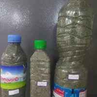 نعنا،خالواش،شوید