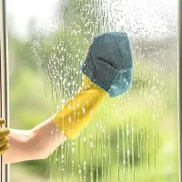 اشپز ی و نظافتچی خانم
