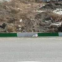 زمین-شهرک-بهار