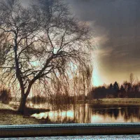 تابلو بزرگ دکوری|تابلو، نقاشی، عکس|بوکان, |دیوار
