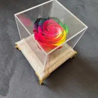 کادو رز طبیعی جاودان با ماندگاری بیش از  ۵سال