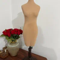 مانکن سوزن خور یک دوم