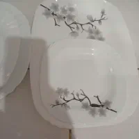 ظروف آکروپال