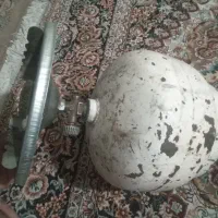 فوری پیک نیک فوری