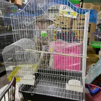 انواع قفس و ملزومات پرندگان|لوازم جانبی حیوانات|میاندوآب, |دیوار