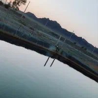 یک دونگ زمین