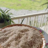 برنج درشت و سرلاشه و نیم دانه هاشمی دسترنج کشاورز|خوردنی و آشامیدنی|رشت, آزادگان|دیوار