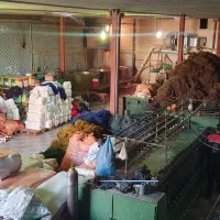 جذب نیرو برای خط تولید