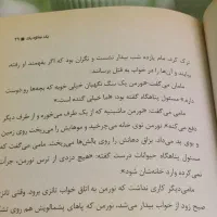 کتاب رمان|کتاب و مجله تاریخی|ساری, |دیوار