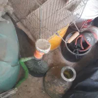 قلیان