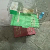 ۲ عدد قفس سالم