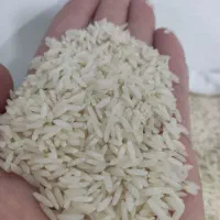 آقای برنج|خوردنی و آشامیدنی|کرمان, |دیوار