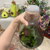 تراریوم (باغ شیشه‌ای)