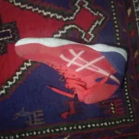 کفش کشتی