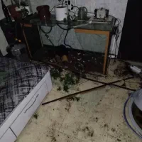 ماهی مانستر|ماهی|شیراز, سلطان آباد|دیوار