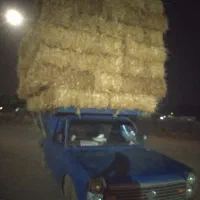 خرید فروش کاه به بالا ترین قیمت