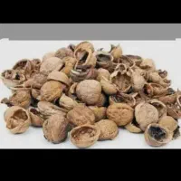 پوست گردو  شما را با بالاترین قیمت خریداریم