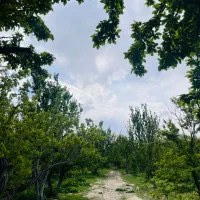 فروش-باغ-میوه