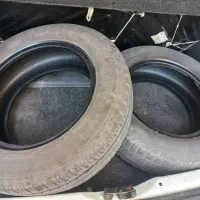 لاستیک بارز