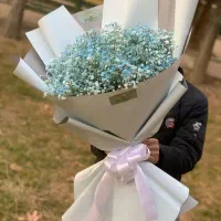 دسته گل ژیپسوفیلا|گل و گیاه طبیعی|چهاردانگه (تهران), |دیوار