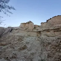 نیازمند خانه