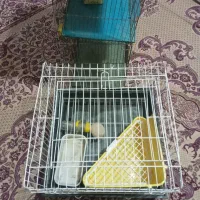 قفس خرگوش با لوازم جانبی در حد نو|لوازم جانبی حیوانات|تهران, جوادیه تهرانپارس|دیوار