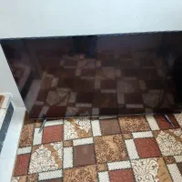 تلوزیون|تلویزیون و پروژکتور|زنجان, |دیوار